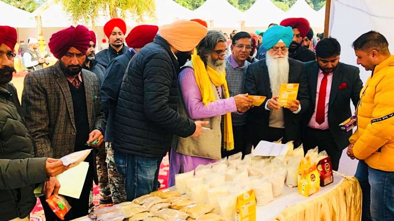 ਮੋਟੇ ਅਨਾਜ ਦੀ ਪੈਦਾਵਾਰ ਸਰੀਰ ਨੂੰ ਤੰਦਰੁਸਤ ਰੱਖਣ ਲਈ ਬਹੁੱਤ ਜ਼ਰੂਰੀ:ਨਿੱਜਰ ਮੋਟੇ ਅਨਾਜ ਦੀ ਪੈਦਾਵਾਰ ਸਰੀਰ ਨੂੰ ਤੰਦਰੁਸਤ ਰੱਖਣ ਲਈ ਬਹੁੱਤ ਜ਼ਰੂਰੀ:ਨਿੱਜਰ