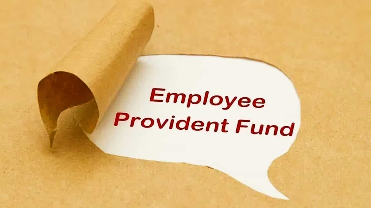 ਜੇਕਰ ਤੁਹਾਡਾ PF ਵੀ ਕੱਟ ਰਿਹਾ ਹੈ ਤਾਂ ਗਲਤੀ ਨਾਲ ਵੀ ਨਾ ਕਰੋ