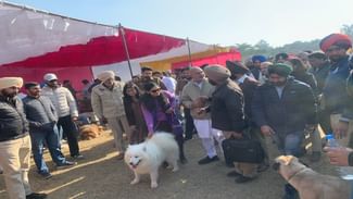 ਪਟਿਆਲਾ ਵਿੱਚ ਡੋਗ ਸ਼ੋਅ ਦਾ ਆਯੋਜਨ,ਪੁੱਜੇ ਵਿਦੇਸ਼ੀ ਅਤੇ ਦੁਰਲੱਭ ਨਸਲਾਂ ਦੇ ਕੁੱਤੇ ਪਟਿਆਲਾ ਵਿੱਚ ਡੋਗ ਸ਼ੋਅ ਦਾ ਆਯੋਜਨ,ਪੁੱਜੇ ਵਿਦੇਸ਼ੀ ਅਤੇ ਦੁਰਲੱਭ ਨਸਲਾਂ ਦੇ ਕੁੱਤੇ