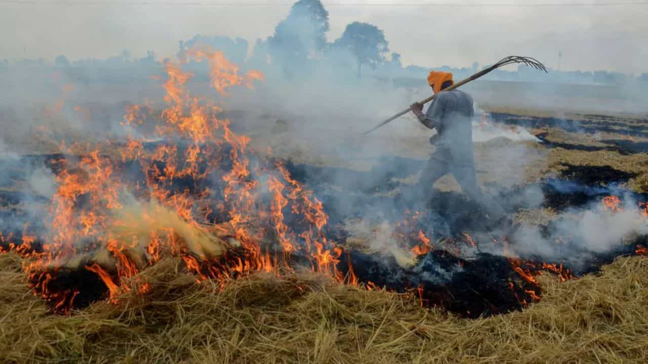 ਪੰਜਾਬ ਵਿੱਚ ਪਰਾਲੀ ਸਾੜਨ ਦੇ ਮਾਮਲੇ ਵਧੇ, ਬਠਿੰਡਾ ਸ਼ਹਿਰ ਸਭ ਤੋਂ ਵੱਧ ਪ੍ਰਦੂਸ਼ਿਤ