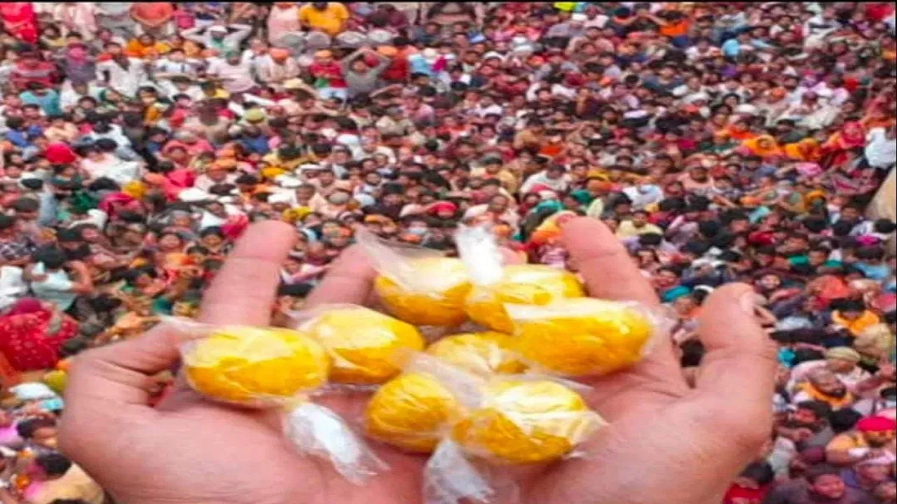 ਸ਼ਰਧਾਲੂ ਸ਼੍ਰੀ ਜੀ ਦੇ ਦਰਸ਼ਨ ਕਰਕੇ ਉਨ੍ਹਾਂ ਨੂੰ ਗੁਲਾਲ ਅਤੇ ਲੱਡੂ ਚੜ੍ਹਾਉਂਦੇ ਹਨ। ਨੰਦਗਾਓਂ ਤੋਂ ਕ੍ਰਿਸ਼ਨ ਸਵਰੂਪ ਸ਼ਾਖਾ ਬਰਸਾਨੇ ਫਾਗ ਮਨਾਉਣ ਆਉਂਦੇ ਹਨ। ਗੋਸਵਾਮੀ ਨੇ ਉਨ੍ਹਾਂ ਨੂੰ ਬੂੰਦੀ ਦੇ ਲੱਡੂ ਦੇ ਕੇ ਸੁਆਗਤ ਕਰਦੇ ਹਨ। ਚਾਰੇ ਪਾਸੇ ਤੋਂ ਲੱਡੂਆਂ ਦੀ ਵਰਖਾ ਸ਼ੁਰੂ ਹੋ ਜਾਂਦੀ ਹੈ। ਅਤੇ ਲੱਡੂ ਲੁੱਟਣ ਲਈ, ਅਣਗਿਣਤ ਸ਼ਰਧਾਲੂ ਹੱਥ ਖੜੇ ਕਰਕੇ ਉਸ ਪ੍ਰਸ਼ਾਦ ਨੂੰ ਪ੍ਰਾਪਤ ਕਰਨ ਲਈ ਉਤਾਵਲੇ ਰਹਿੰਦੇ ਹਨ।