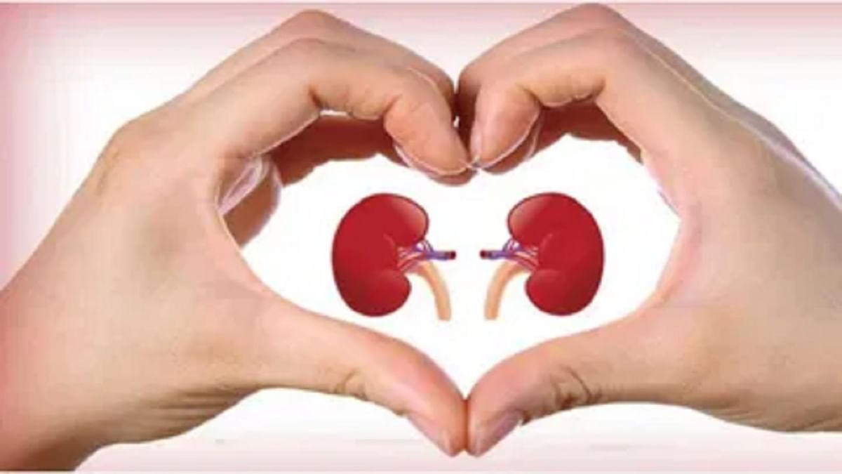 Kidney Cancer: ਪਿਸ਼ਾਬ ਦੇ ਰੰਗ ‘ਚ ਇਹ ਬਦਲਾਅ ਕਿਡਨੀ ਕੈਂਸਰ ਦਾ ਹੋ ਸਕਦਾ ਹੈ ਲੱਛਣ , ਨਾ ਕਰੋ ਨਜ਼ਰਅੰਦਾਜ਼ Kidney Cancer: ਪਿਸ਼ਾਬ ਦੇ ਰੰਗ ‘ਚ ਇਹ ਬਦਲਾਅ ਕਿਡਨੀ ਕੈਂਸਰ ਦਾ ਹੋ ਸਕਦਾ ਹੈ ਲੱਛਣ , ਨਾ ਕਰੋ ਨਜ਼ਰਅੰਦਾਜ਼