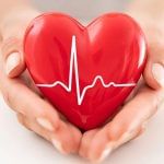 Heart Attack Cases in 2023: ਦਿਲ ਲਈ ਚੁਣੌਤੀਪੂਰਨ ਰਿਹਾ ਇਹ ਸਾਲ, ਹਾਰਟ ਅਟੈਕ ਦੇ ਵਧੇ ਮਾਮਲੇ, 2024 ‘ਚ ਰਹੋ ਸਾਵਧਾਨ Heart Attack Cases in 2023: ਦਿਲ ਲਈ ਚੁਣੌਤੀਪੂਰਨ ਰਿਹਾ ਇਹ ਸਾਲ, ਹਾਰਟ ਅਟੈਕ ਦੇ ਵਧੇ ਮਾਮਲੇ, 2024 ‘ਚ ਰਹੋ ਸਾਵਧਾਨ