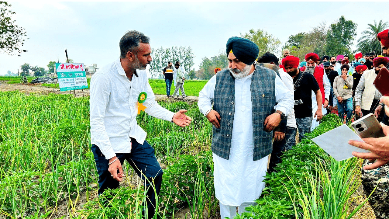 Agriculture News: ਸੂਬੇ ਵਿੱਚ ਮਿਰਚਾਂ ਦਾ ਪਹਿਲਾ ਕਲਸਟਰ ਸ਼ੁਰੂ, ਚੇਤਨ ਸਿੰਘ ਜੌੜਾਮਾਜਰਾ ਵੱਲੋਂ ਰਸਮੀ ਉਦਘਾਟਨ Agriculture News: ਸੂਬੇ ਵਿੱਚ ਮਿਰਚਾਂ ਦਾ ਪਹਿਲਾ ਕਲਸਟਰ ਸ਼ੁਰੂ, ਚੇਤਨ ਸਿੰਘ ਜੌੜਾਮਾਜਰਾ ਵੱਲੋਂ ਰਸਮੀ ਉਦਘਾਟਨ