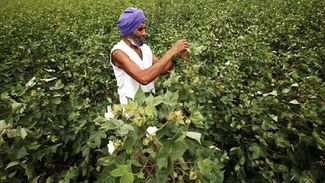 ਕਿਸਾਨਾਂ ਲਈ ਚੰਗੀ ਖ਼ਬਰ, ਸਰਕਾਰ ਨੇ ਜਾਰੀ ਕੀਤੀ PM ਕਿਸਾਨ ਨਿਧੀ ਦੀ ਕਿਸ਼ਤ, ਇੰਝ ਕਰੋ ਚੈੱਕ