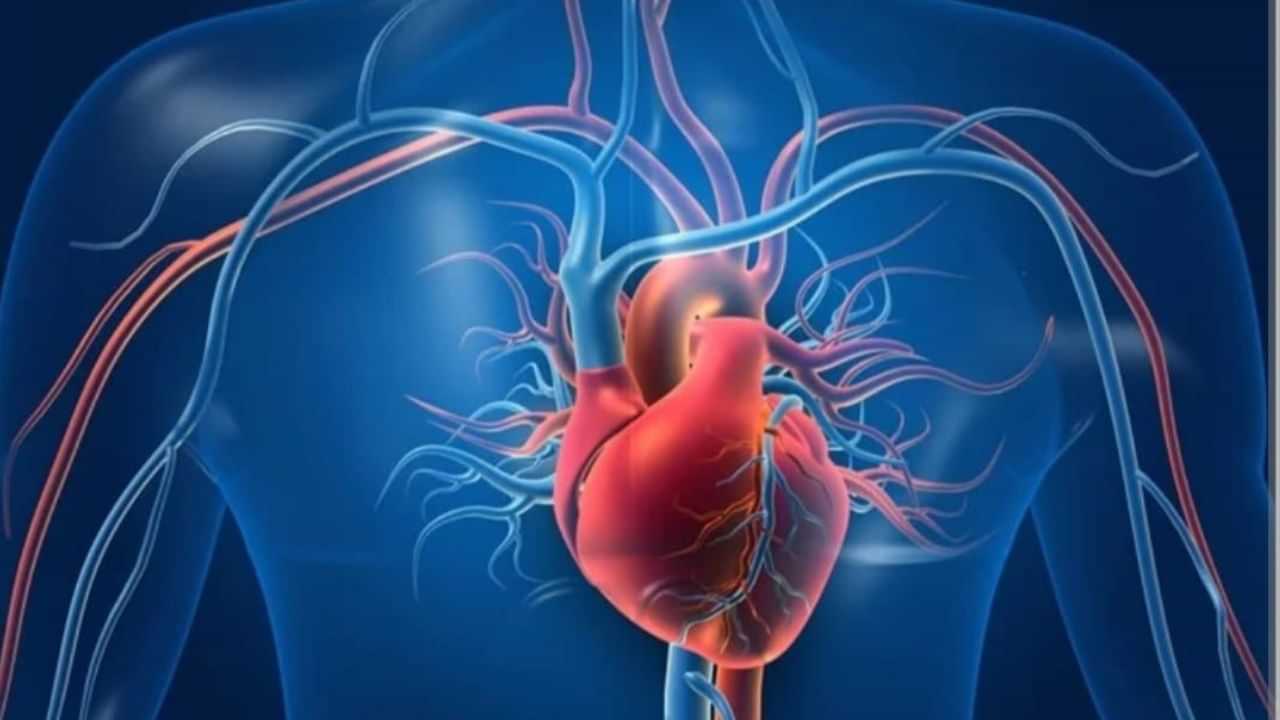 Irregular Heart Beat: ਦਿਲ ਦੀ ਧੜਕਣ ਦਾ ਅਨਿਯਮਿਤ ਹੋਣਾ ਖਤਰਨਾਕ, ਨਾ ਕਰੋ ਨਜ਼ਰਅੰਦਾਜ਼