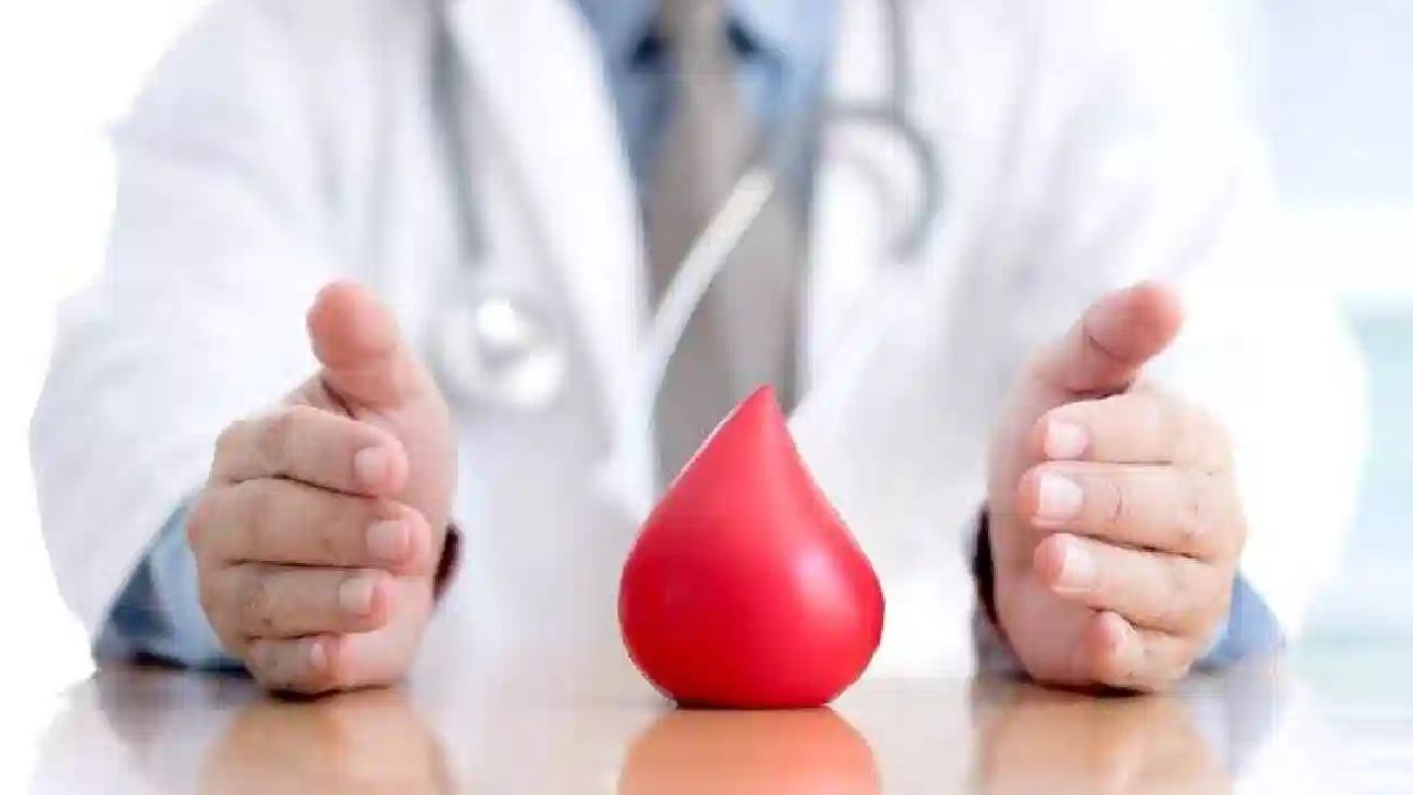 Health Tips : ਸਾਡੇ ਖੂਨ ਨੂੰ ਸਾਫ ਰੱਖਦੇ ਹਨ ਇਹ ਭੋਜਨ, ਅੱਜ ਤੋਂ ਹੀ ਕਰੋ ਖੁਰਾਕ ਵਿੱਚ ਸ਼ਾਮਿਲ Health Tips : ਸਾਡੇ ਖੂਨ ਨੂੰ ਸਾਫ ਰੱਖਦੇ ਹਨ ਇਹ ਭੋਜਨ, ਅੱਜ ਤੋਂ ਹੀ ਕਰੋ ਖੁਰਾਕ ਵਿੱਚ ਸ਼ਾਮਿਲ