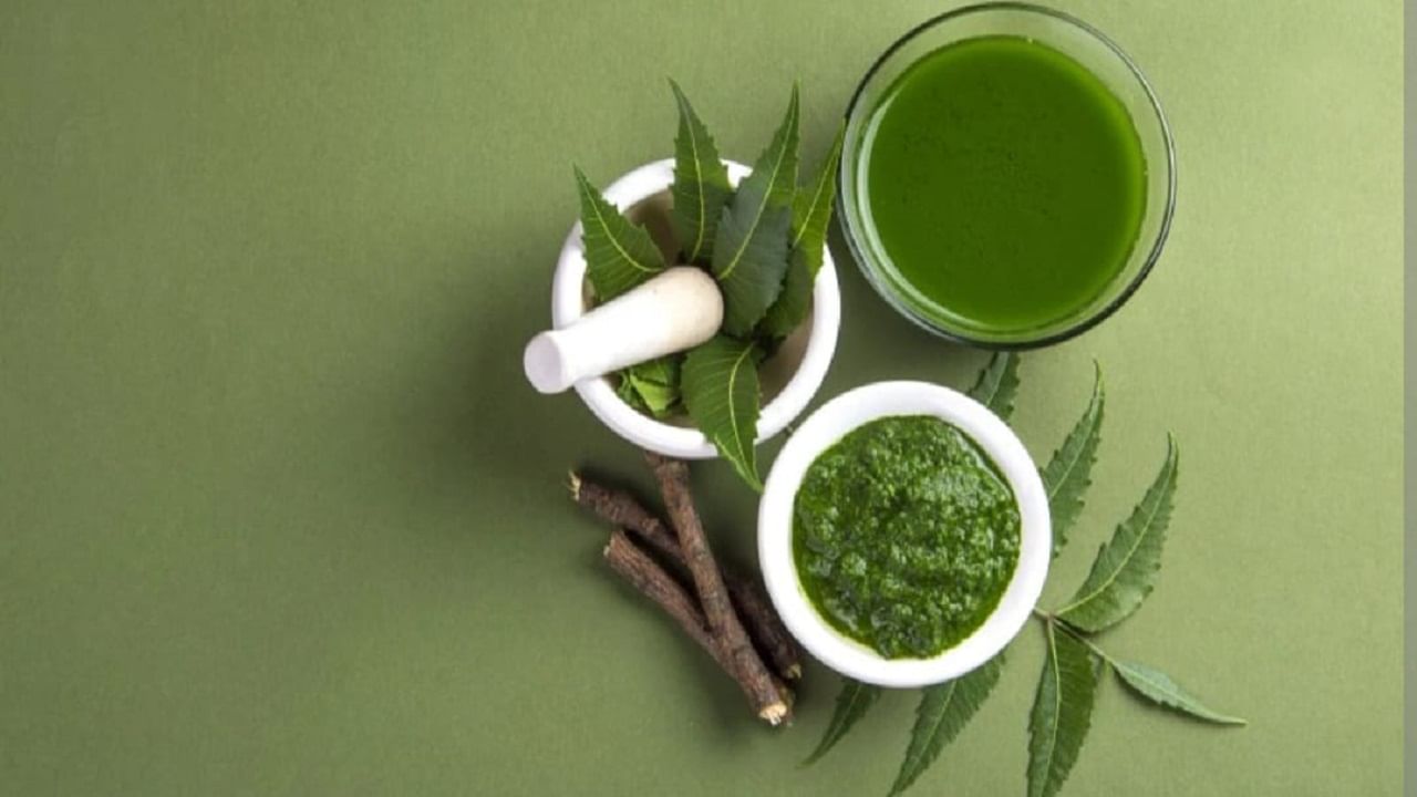 Health Tips: ਕੌੜਾ ਪਰ ਗੁਣਾਂ ਨਾਲ ਭਰਪੂਰ ਹੈ ਨਿੰਮ ਦੇ ਪੱਤਿਆਂ ਦਾ ਰਸ Health Tips: ਕੌੜਾ ਪਰ ਗੁਣਾਂ ਨਾਲ ਭਰਪੂਰ ਹੈ ਨਿੰਮ ਦੇ ਪੱਤਿਆਂ ਦਾ ਰਸ