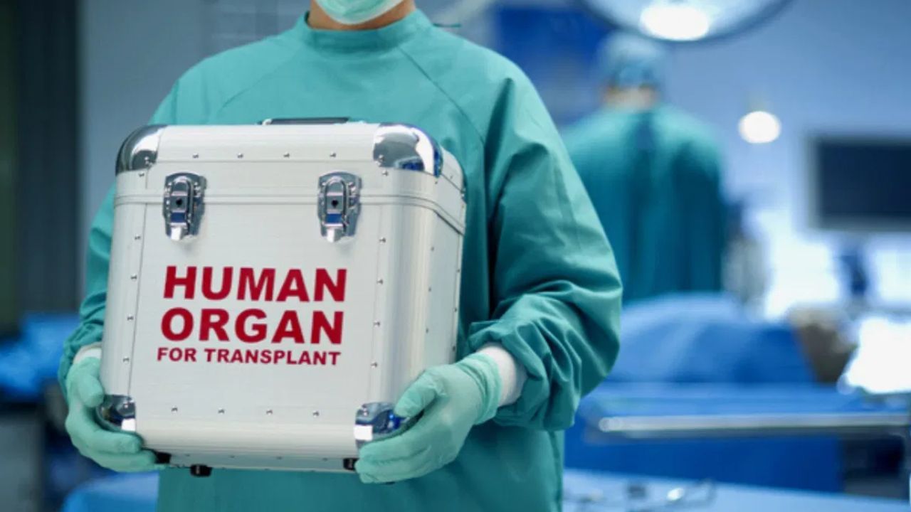 Organ Donation: ਕੀ HIV ਅਤੇ TB ਦੇ ਮਰੀਜ਼ ਅੰਗਦਾਨ ਕਰ ਸਕਦੇ ਹਨ? ਜਾਣੋ…ਮਾਹਿਰਾਂ ਦੀ ਰਾਏ Organ Donation: ਕੀ HIV ਅਤੇ TB ਦੇ ਮਰੀਜ਼ ਅੰਗਦਾਨ ਕਰ ਸਕਦੇ ਹਨ? ਜਾਣੋ…ਮਾਹਿਰਾਂ ਦੀ ਰਾਏ