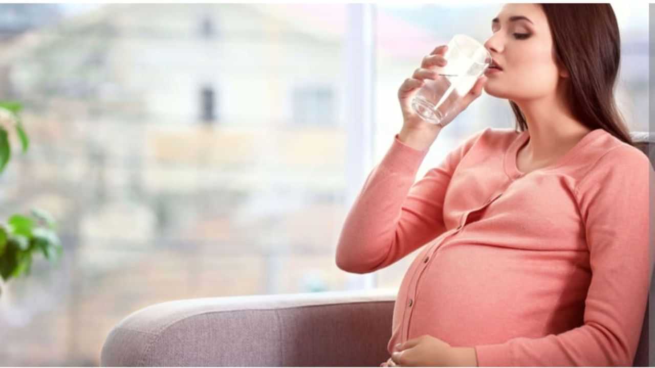 Healthy Pregnancy Tips: ਗਰਭ ਅਵਸਥਾ ਦੌਰਾਨ ਉਚਿੱਤ ਮਾਤਰਾ ਵਿੱਚ ਪਾਣੀ ਪੀਣਾ ਹੈ ਜਰੂਰੀ