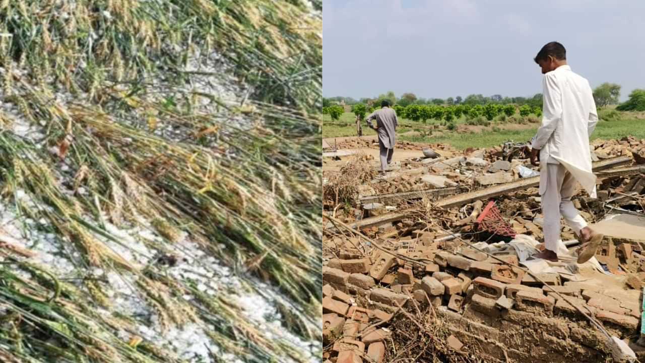 Punjab Tornado: ਮੀਂਹ, ਗੜੇਮਾਰੀ ਤੇ ਤੂਫ਼ਾਨ ਕਾਰਨ ਫਸਲਾਂ ਬਰਬਾਦ, ਘਰੋਂ ਬੇਘਰ ਹੋਏ ਲੋਕ