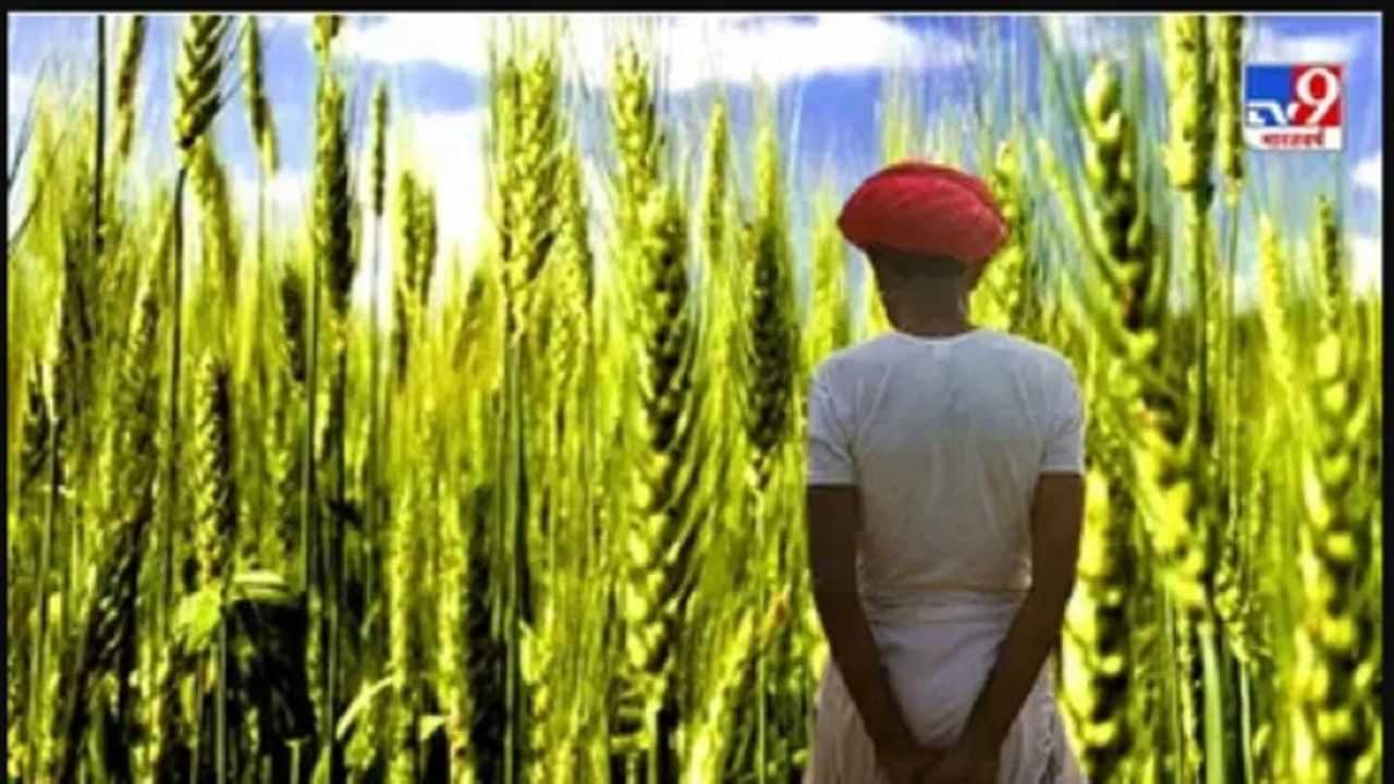 Agriculture News: ਮੌਸਮ ਵਿਭਾਗ ਨੇ ਇਨ੍ਹਾਂ ਰਾਜਾਂ ਦੇ ਕਿਸਾਨਾਂ ਲਈ ਜਾਰੀ ਕੀਤੀ ਐਡਵਾਈਜ਼ਰੀ, ਜਾਣੋ ਕੀ ਹੈ ਖਾਸ...