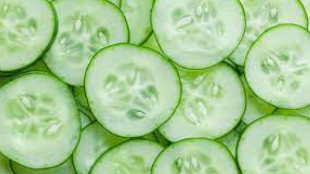 Benefits of Eating Cucumber: ਗਰਮੀਆਂ ਵਿੱਚ ਖੀਰਾ ਦਾ ਰਾਇਤਾ ਖਾਣਾ ਹੈ ਬਹੁਤ ਫਾਇਦੇਮੰਦ Benefits of Eating Cucumber: ਗਰਮੀਆਂ ਵਿੱਚ ਖੀਰਾ ਦਾ ਰਾਇਤਾ ਖਾਣਾ ਹੈ ਬਹੁਤ ਫਾਇਦੇਮੰਦ