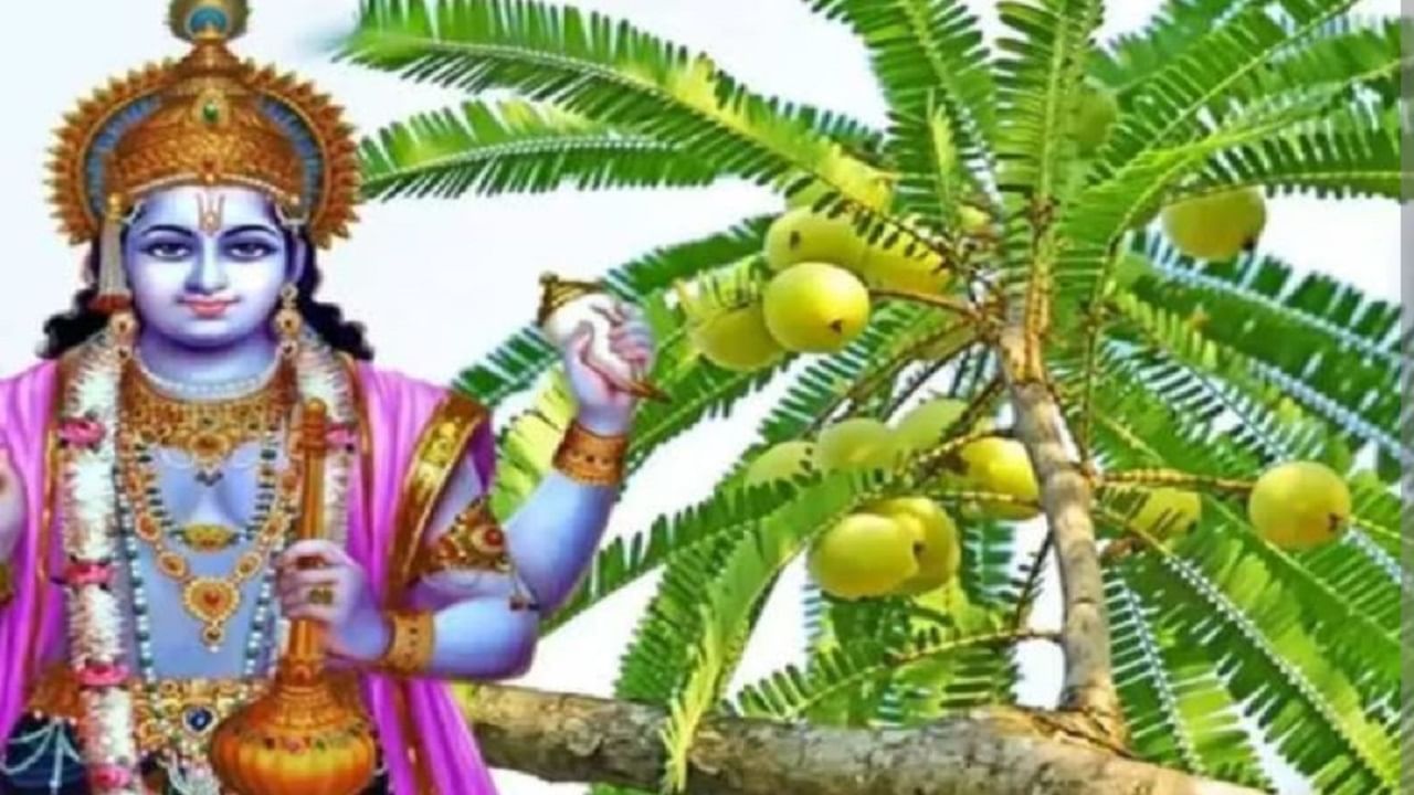 Religion News: ਕੱਲ੍ਹ ਮਨਾਈ ਜਾਵੇਗੀ ਅਮਲਕੀ ਇਕਾਦਸ਼ੀ, ਇਸ ਤਰ੍ਹਾਂ ਕਰੋ ਪੂਜਾ Religion News: ਕੱਲ੍ਹ ਮਨਾਈ ਜਾਵੇਗੀ ਅਮਲਕੀ ਇਕਾਦਸ਼ੀ, ਇਸ ਤਰ੍ਹਾਂ ਕਰੋ ਪੂਜਾ