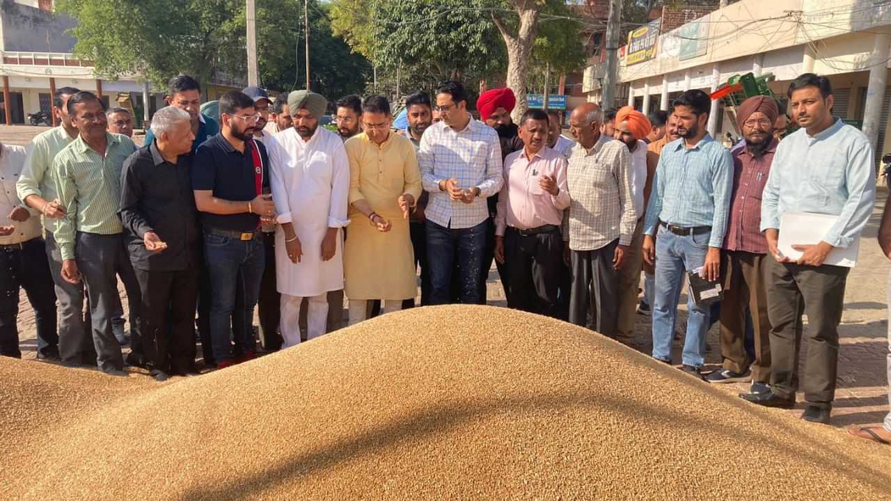 Wheat Procurement: ਅਨਾਜ ਮੰਡੀ ਸੁਨਾਮ ਵਿਖੇ ਅਮਨ ਅਰੋੜਾ ਨੇ ਲਿਆ ਕਣਕ ਖਰੀਦ ਪ੍ਰਬੰਧਾਂ ਦਾ ਜਾਇਜ਼ਾ