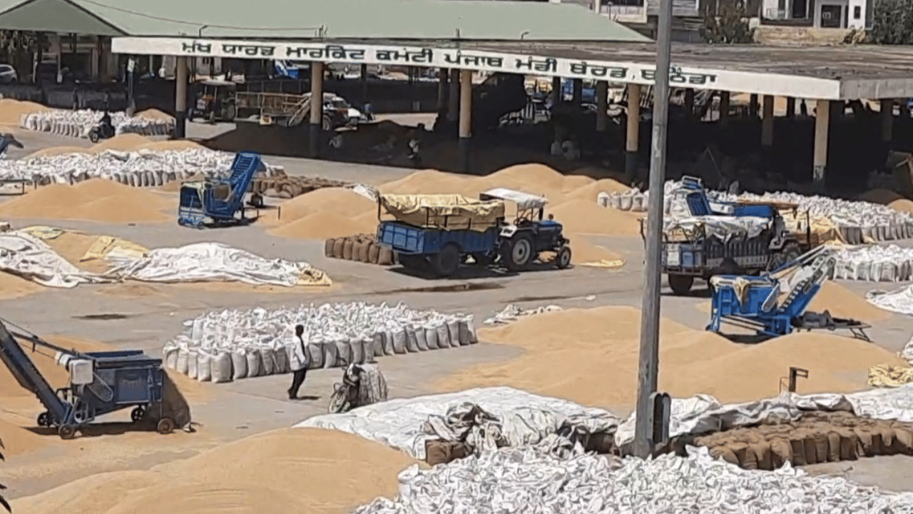Wheat Crop: ਬਠਿੰਡਾ ਦੀਆਂ ਮੰਡੀਆਂ ਚ ਪਹੁੰਚ ਰਹੀ ਕਣਕ ਦੀ ਨਾਲੋ-ਨਾਲ ਹੋ ਰਹੀ ਖਰੀਦ - ਡੀਸੀ