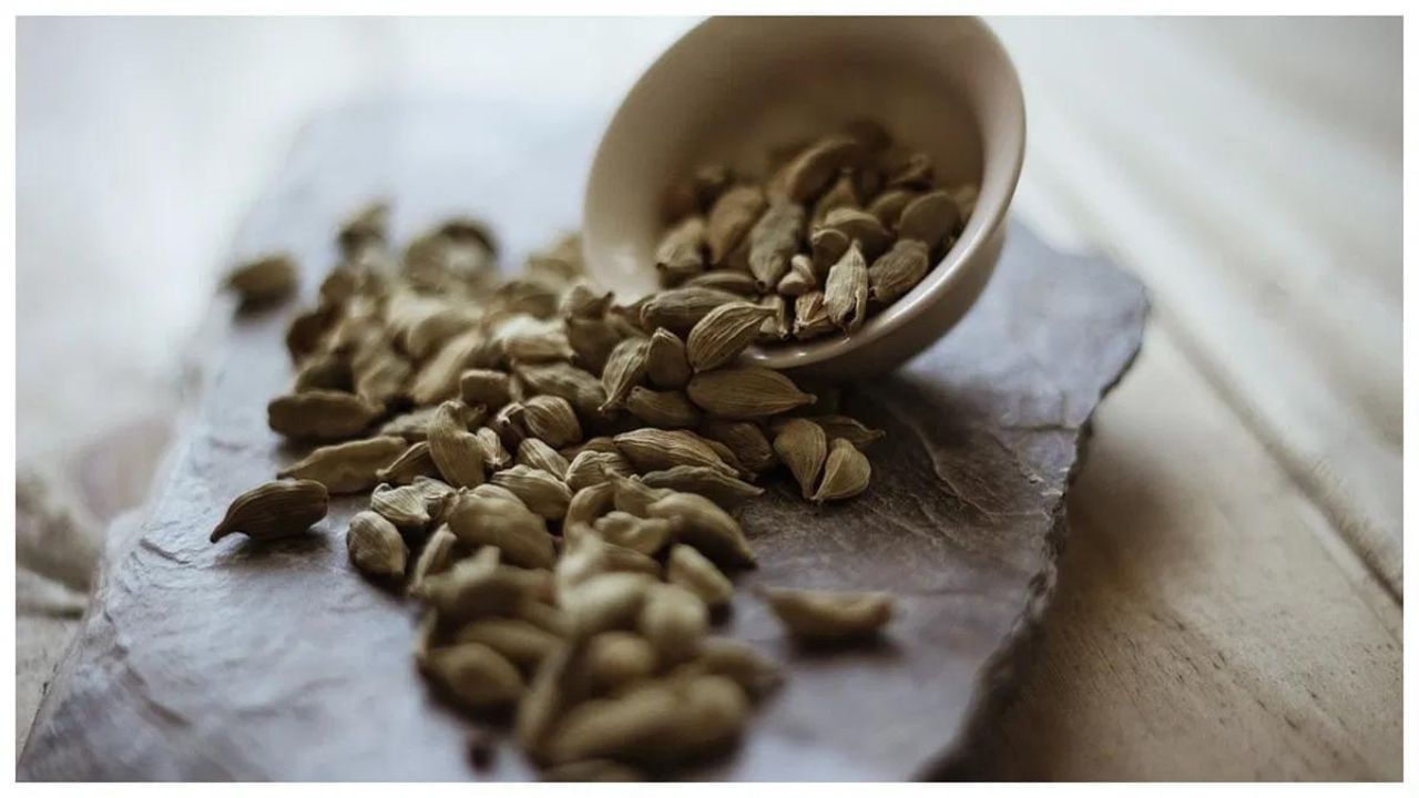 Cooling Spices: ਗਰਮੀਆਂ ‘ਚ ਖਾਓ ਇਹ ਠੰਡੇ ਮਸਾਲੇ, ਹਾਜਮਾ ਵੀ ਰਹੇਗਾ ਠੀਕ Cooling Spices: ਗਰਮੀਆਂ ‘ਚ ਖਾਓ ਇਹ ਠੰਡੇ ਮਸਾਲੇ, ਹਾਜਮਾ ਵੀ ਰਹੇਗਾ ਠੀਕ