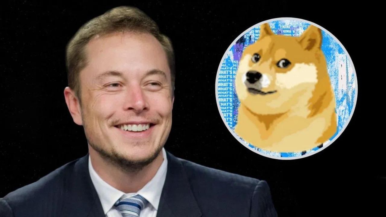 Elon Musk ਨੂੰ ਨਹੀਂ ਰਾਸ ਆਇਆ Dogecoin ਦਾ ‘ਕੁੱਤਾ’, ਚਾਰ ਦਿਨਾਂ ‘ਚ ਖਰਚੇ 1.30 ਲੱਖ ਕਰੋੜ
