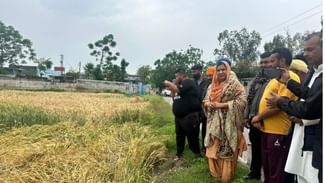 Wheat Crop: ਖਰਾਬ ਫਸਲ ਦਾ ਜਾਇਜਾ ਲੈਣ ਪਹੁੰਚੀ ਨਕੋਦਰ ਦੀ ਵਿਧਾਇਕ,ਸੂਬੇ ਚ ਮੁੜ ਮੀਂਹ ਅਤੇ ਗੜੇਮਾਰੀ ਦਾ ਅਲਰਟ