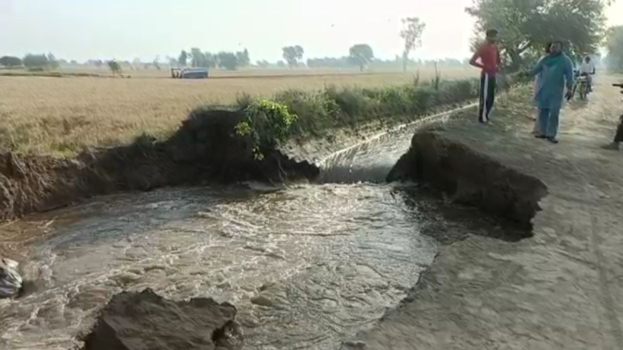 Punjab ਦੇ ਸਰਹੱਦੀ ਜ਼ਿਲ੍ਹਾ ਫਾਜ਼ਿਲਕਾ ‘ਚ ਇੱਕ ਵਾਰ ਮੁੜ ਹੋਇਆ ਕਿਸਾਨਾਂ ਦਾ ਨੁਕਸਾਨ Punjab ਦੇ ਸਰਹੱਦੀ ਜ਼ਿਲ੍ਹਾ ਫਾਜ਼ਿਲਕਾ ‘ਚ ਇੱਕ ਵਾਰ ਮੁੜ ਹੋਇਆ ਕਿਸਾਨਾਂ ਦਾ ਨੁਕਸਾਨ