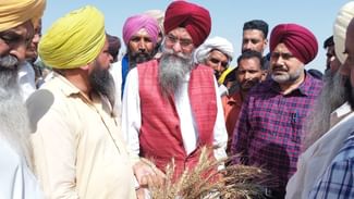 Crop Damaged: ਕੁਲਤਾਰ ਸਿੰਘ ਸੰਧਵਾਂ ਨੇ ਬੇਮੌਸਮੀ ਬਰਸਾਤ ਕਾਰਨ ਨੁਕਸਾਨੀਆਂ ਫਸਲਾਂ ਦਾ ਲਿਆ ਜਾਇਜਾ Crop Damaged: ਕੁਲਤਾਰ ਸਿੰਘ ਸੰਧਵਾਂ ਨੇ ਬੇਮੌਸਮੀ ਬਰਸਾਤ ਕਾਰਨ ਨੁਕਸਾਨੀਆਂ ਫਸਲਾਂ ਦਾ ਲਿਆ ਜਾਇਜਾ