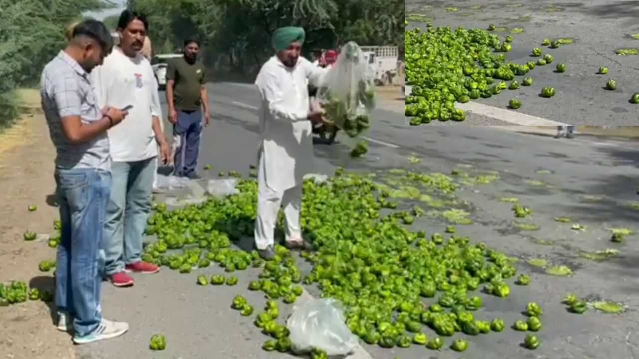 Mansa Farmers: ਕਿਸਾਨਾਂ ਨੇ ਸੜਕਾਂ ਤੇ ਸੁੱਟੀ ਸ਼ਿਮਲਾ ਮਿਰਚ, 1 ਰੁਪਏ ਕਿੱਲੋ ਮਿਲ ਰਿਹਾ ਰੇਟ