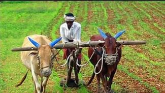 PM Kisan Samman Nidhi Scheme ਨੂੰ ਲੈ ਕੇ ਵੱਡਾ ਅਪਡੇਟ, ਜਾਣੋ 14ਵੀਂ ਕਿਸ਼ਤ ਕਦੋਂ ਜਾਰੀ ਹੋਵੇਗੀ