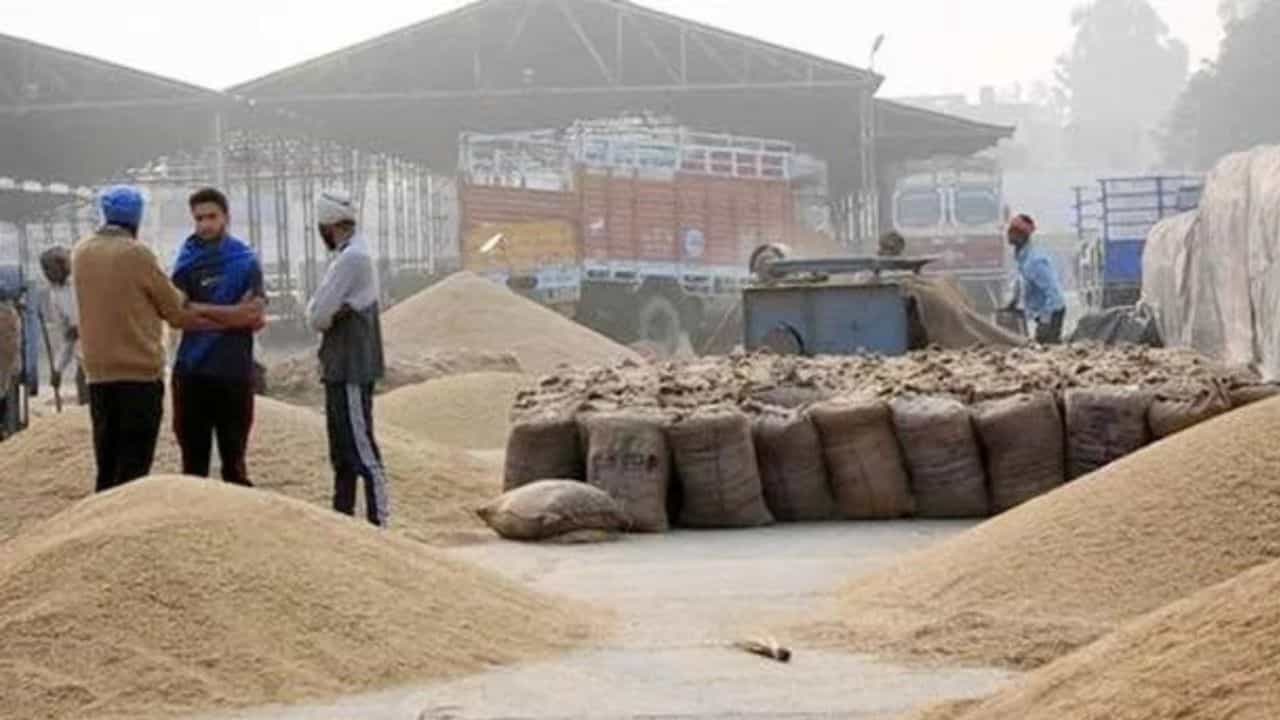 MSP on Crops: ਕੇਂਦਰ ਸਰਕਾਰ ਨੇ ਕਿਸਾਨਾਂ ਨੂੰ ਦਿੱਤਾ ਵੱਡਾ ਤੋਹਫਾ, ਝੋਨੇ ਦੀਆਂ ਕੀਮਤਾਂ ਚ 143 ਰੁਪਏ ਦਾ ਵਾਧਾ