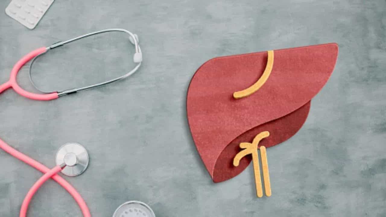 World Liver day 2023: ਰੋਜ਼ਾਨਾ ਦੀਆਂ ਇਨ੍ਹਾਂ ਆਦਤਾਂ ਕਾਰਨ ਹੋ ਸਕਦੀ ਹੈ ਲੀਵਰ ਦੀ ਬਿਮਾਰੀ ਦਾ ਸ਼ਿਕਾਰ, ਨਾ ਕਰੋ ਇਹ ਗਲਤੀਆਂ
