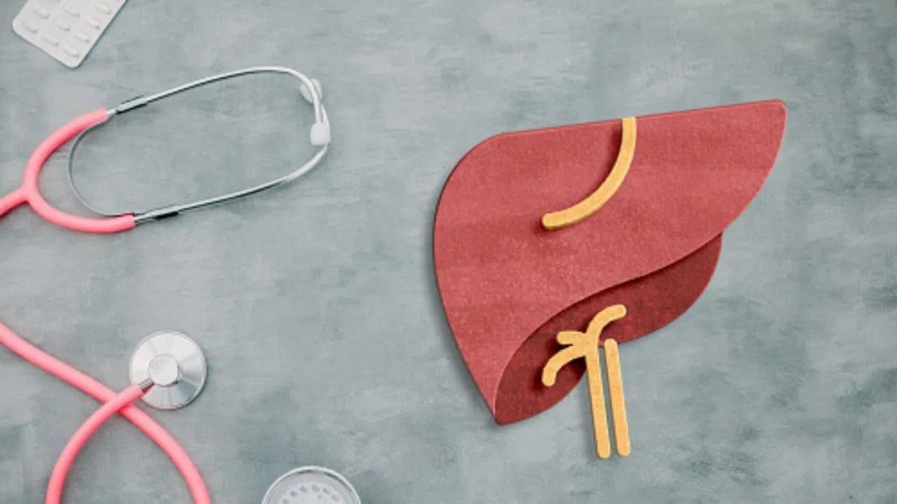 World Liver day 2023: ਰੋਜ਼ਾਨਾ ਦੀਆਂ ਇਨ੍ਹਾਂ ਆਦਤਾਂ ਕਾਰਨ ਹੋ ਸਕਦੀ ਹੈ ਲੀਵਰ ਦੀ ਬਿਮਾਰੀ ਦਾ ਸ਼ਿਕਾਰ, ਨਾ ਕਰੋ ਇਹ ਗਲਤੀਆਂ World Liver day 2023: ਰੋਜ਼ਾਨਾ ਦੀਆਂ ਇਨ੍ਹਾਂ ਆਦਤਾਂ ਕਾਰਨ ਹੋ ਸਕਦੀ ਹੈ ਲੀਵਰ ਦੀ ਬਿਮਾਰੀ ਦਾ ਸ਼ਿਕਾਰ, ਨਾ ਕਰੋ ਇਹ ਗਲਤੀਆਂ