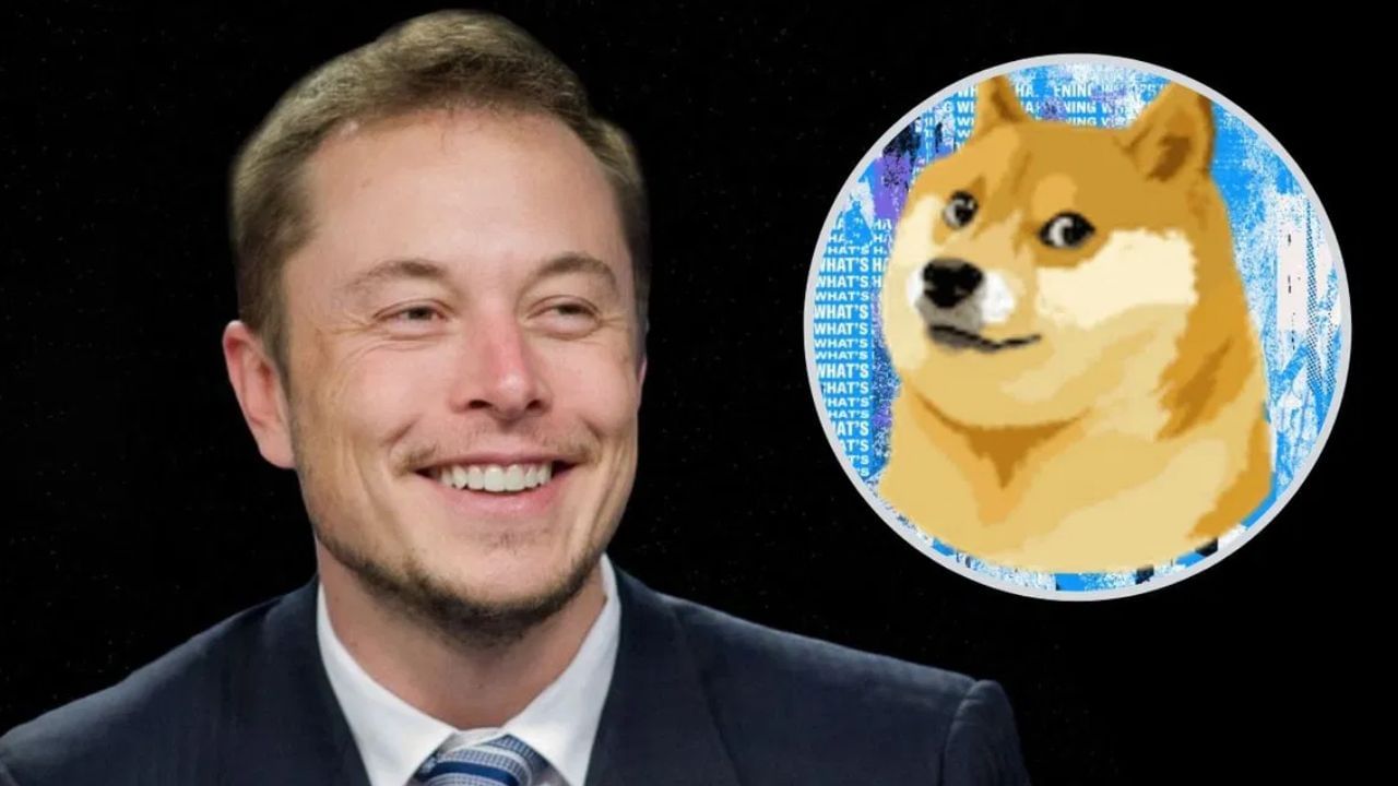 Elon Musk ਦਾ ਡੌਜਕੋਇਨ ਨਾਲ ਪੁਰਾਣਾ ਰਿਸ਼ਤਾ ਹੈ, ਇਸ ਕਾਰਨ ਉਹ ਆਪਣੇ ਆਪ ਨੂੰ ਕਹਿੰਦਾ ਹੈ ਡੌਜਫਾਦਰ Elon Musk ਦਾ ਡੌਜਕੋਇਨ ਨਾਲ ਪੁਰਾਣਾ ਰਿਸ਼ਤਾ ਹੈ, ਇਸ ਕਾਰਨ ਉਹ ਆਪਣੇ ਆਪ ਨੂੰ ਕਹਿੰਦਾ ਹੈ ਡੌਜਫਾਦਰ