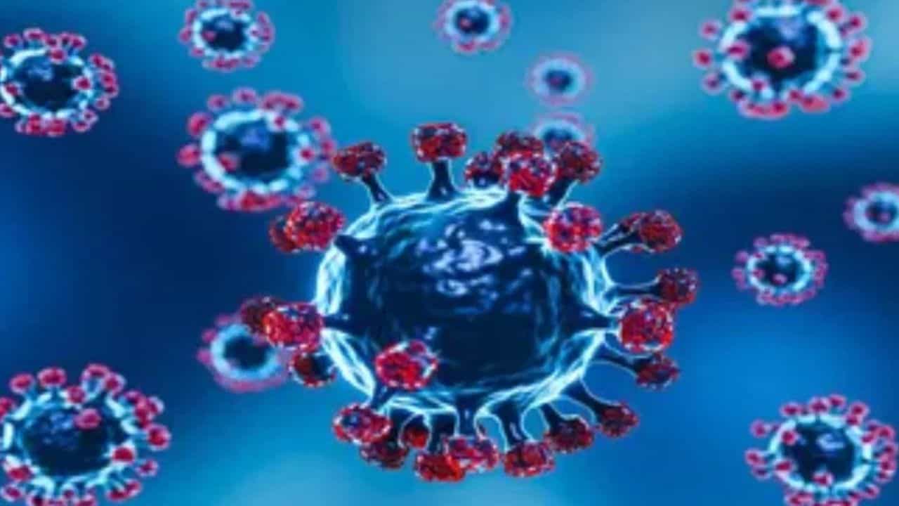 ਕੋਰੋਨਾ ਤੋਂ ਨਹੀਂ ਹੁਣ ਕੋਈ ਖ਼ਤਰਾ, WHO ਨੇ ਕਿਹਾ-ਹੁਣ ਕੋਵਿਡ ਗਲੋਬਲ ਹੈਲਥ ਐਮਰਜੈਂਸੀ ਨਹੀਂ ਰਿਹਾ