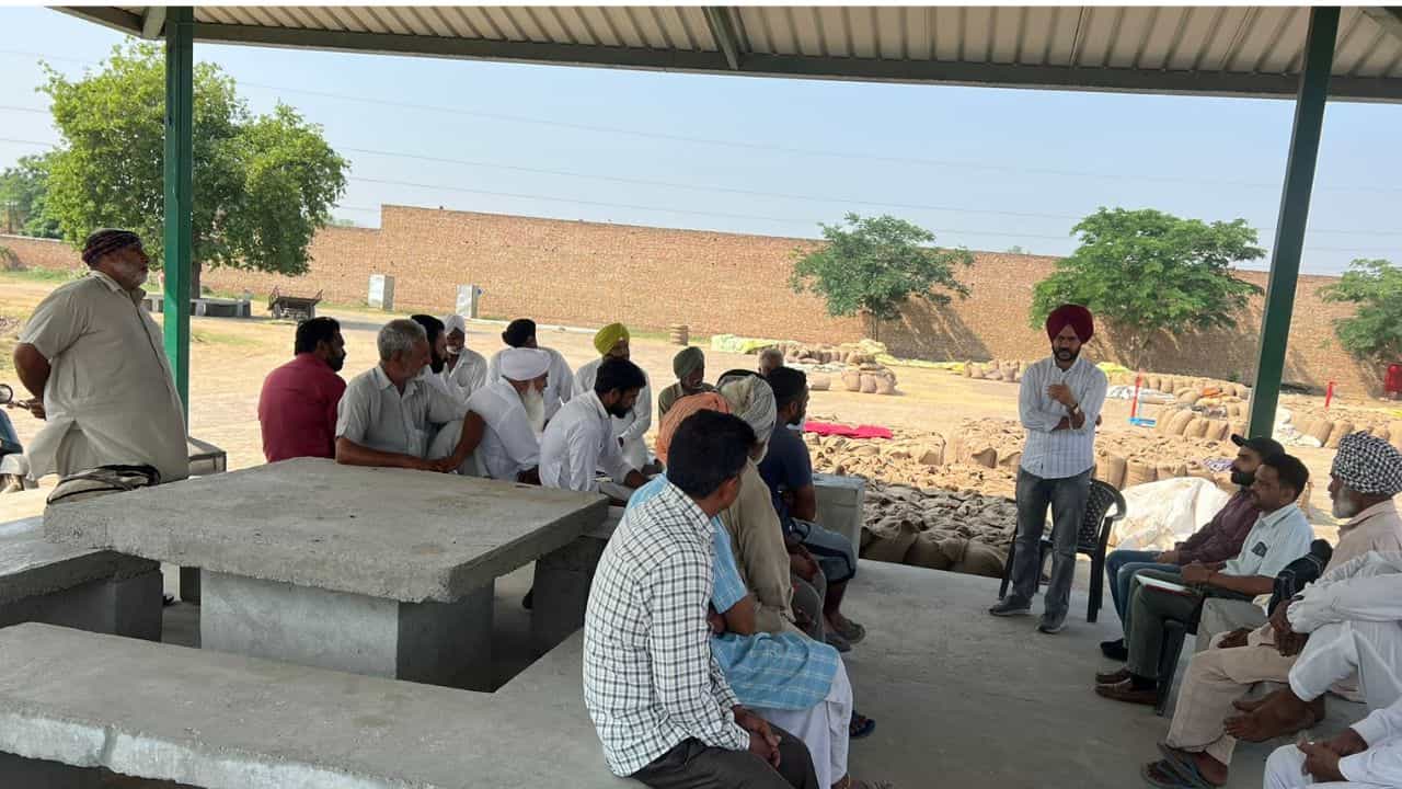 ਖੇਤੀਬਾੜੀ ਮਾਹਿਰ ਬੋਲੇ, ਨਰਮੇ ਦੀ ਫਸਲ ਬੀਜਣੀ ਹੈ ਤਾਂ ਉਸ ਥਾਂ ਤੇ ਮੂੰਗੀ ਦੀ ਕਾਸ਼ਤ ਨਾ ਕੀਤੀ ਜਾਵੇ