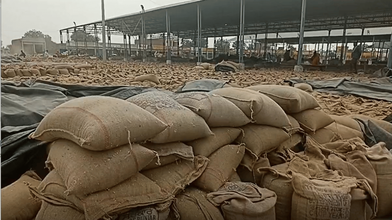 ਪੰਜਾਬ ਚ ਕਣਕ ਭੰਡਾਰਨ ਦੀ ਕਮੀ, ਸੂਬਾ ਸਰਕਾਰ ਦਾ ਕੇਂਦਰ ਨੂੰ ਪੱਤਰ- ਤੁਰੰਤ ਕਰਵਾਈ ਜਾਵੇ ਲਿਫਟਿੰਗ