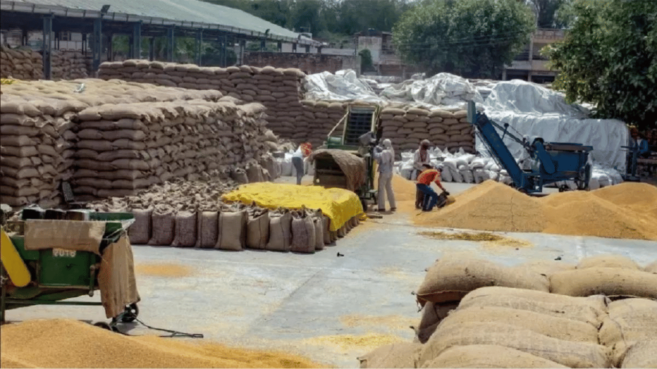 Wheat Procurement: ਕਣਕ ਵੇਚਣ ਵਾਲੇ ਕਿਸਾਨਾਂ ਦੇ ਖਾਤੇ ਚ ਪਹੁੰਚੇ 41742.92 ਕਰੋੜ, ਜਲਦੀ ਚੈੱਕ ਕਰੋ ਅਕਾਉਂਟ