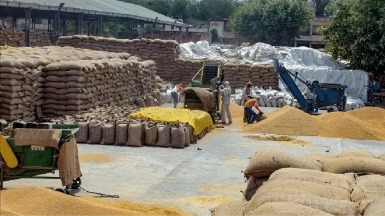 Wheat Procurement: ਕਣਕ ਵੇਚਣ ਵਾਲੇ ਕਿਸਾਨਾਂ ਦੇ ਖਾਤੇ ਚ ਪਹੁੰਚੇ 41742.92 ਕਰੋੜ, ਜਲਦੀ ਚੈੱਕ ਕਰੋ ਅਕਾਉਂਟ