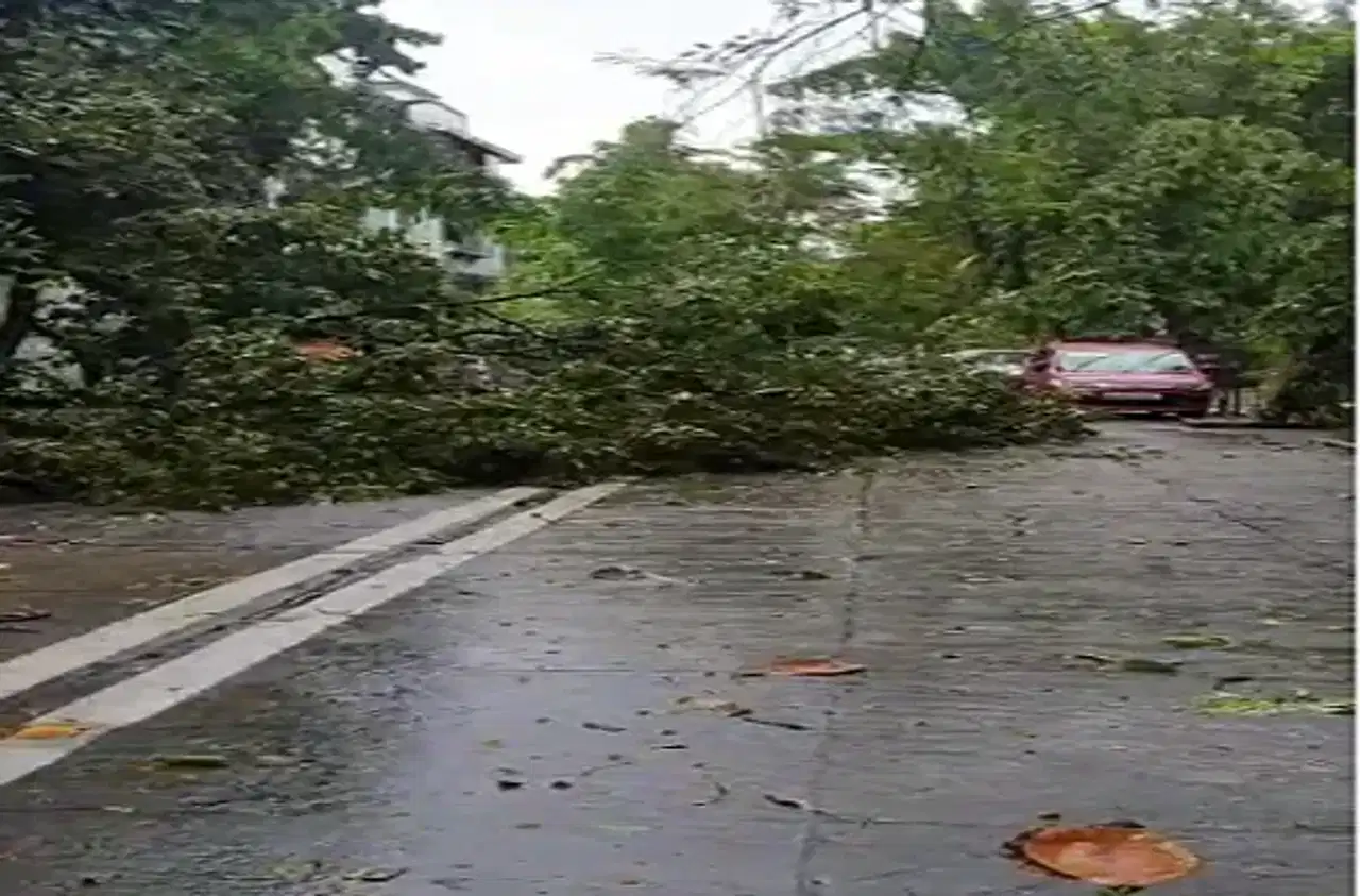 Punjab Weather: ਪੰਜਾਬ ਦੇ 15 ਜਿਲ੍ਹਿਆਂ ਚ ਤੇਜ਼ ਹਵਾਵਾਂ ਨਾਲ ਮੀਂਹ ਦੀ ਚਿਤਾਵਨੀ, ਕਿਸਾਨਾਂ ਲਈ ਕਿਨ੍ਹੀਂ ਲਾਹੇਬੰਦ ਹੋਵੇਗੀ ਬਾਰਿਸ਼?