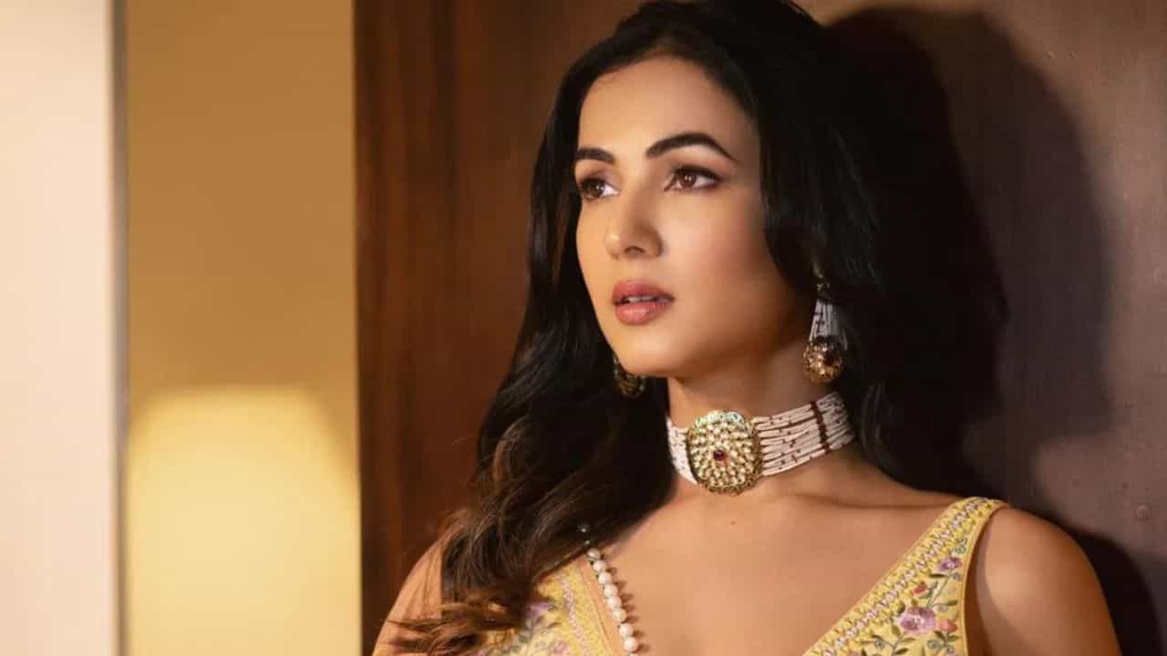 Adipurush: ਘੱਟ ਡਾਇਲਾਗ, ਲੇਕਿਨ ਅਸਰਦਾਰ ਐਕਸਪ੍ਰੈਸ਼ਨ ਆਦਿਪੁਰਸ਼ ਚ ਸੋਨਲ ਚੋਹਾਨ ਦੇ ਇਸ ਕਿਰਦਾਰ ਨੇ ਫੈਂਸ ਨੂੰ ਕੀਤਾ ਇੰਪ੍ਰੈੱਸ