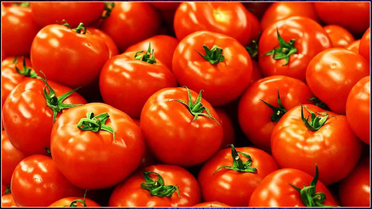 Tomato Rates Hike: ਪੰਜਾਬ ਚ 100 ਰੁਪਏ ਦੇ ਪਾਰ ਪਹੁੰਚਿਆ ਟਮਾਟਰ, ਹੋਰ ਸਬਜਿਆਂ ਵੀ ਆਮ ਆਦਮੀ ਦੀ ਪਹੁੰਚ ਤੋਂ ਪਰੇ