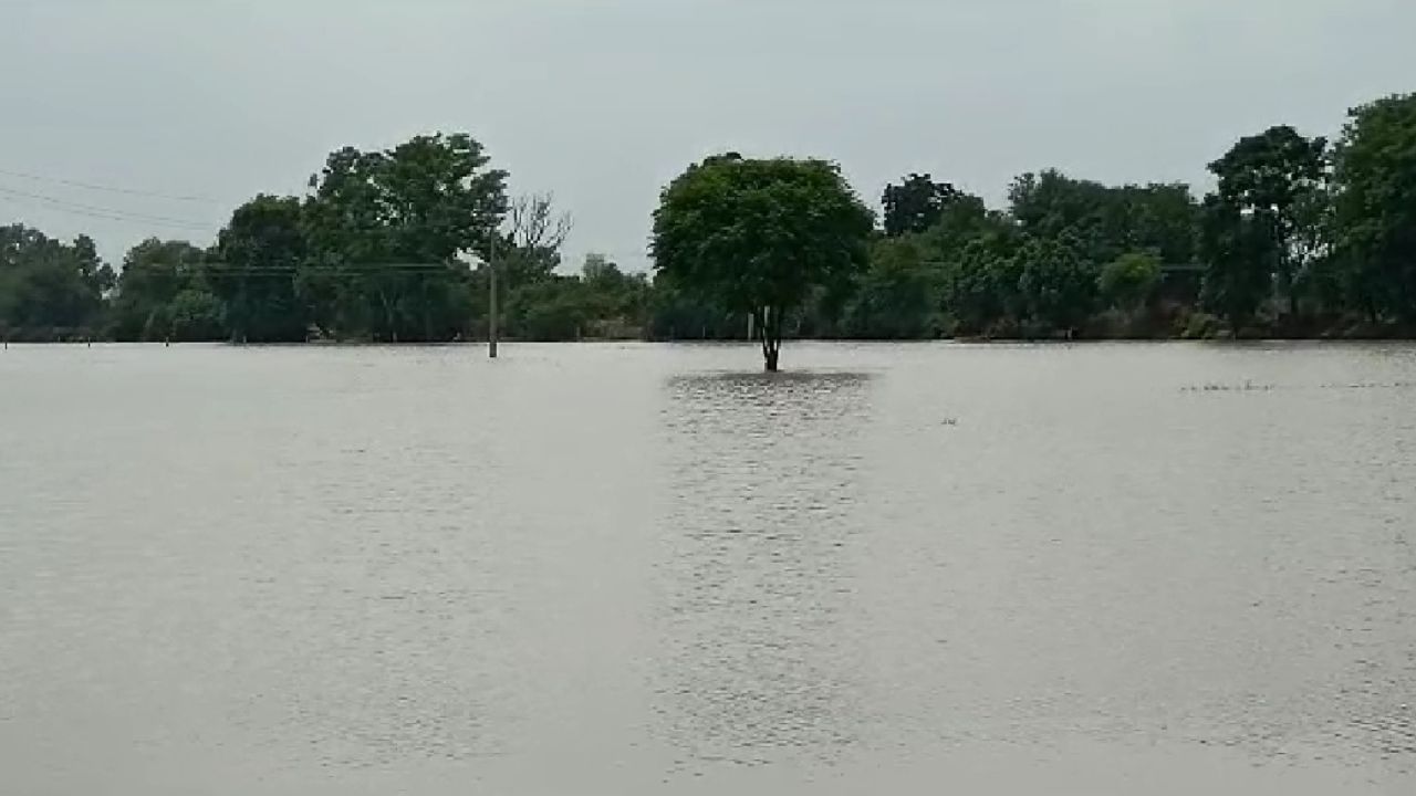 Punjab flood ਸੁਨਾਮ ਦੇ ਮਹਿਲਾਂ, ਮਰਦਖੇੜਾ ਅਤੇ ਅਕਾਲਗੜ੍ਹ ਪਿੰਡਾਂ ਦੀ ਕਰੀਬ 250 ਏਕੜ ਫ਼ਸਲ ‘ਚ ਭਰਿਆ ਪਾਣੀ Punjab flood ਸੁਨਾਮ ਦੇ ਮਹਿਲਾਂ, ਮਰਦਖੇੜਾ ਅਤੇ ਅਕਾਲਗੜ੍ਹ ਪਿੰਡਾਂ ਦੀ ਕਰੀਬ 250 ਏਕੜ ਫ਼ਸਲ ‘ਚ ਭਰਿਆ ਪਾਣੀ
