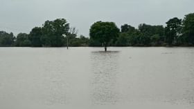 Punjab flood ਸੁਨਾਮ ਦੇ ਮਹਿਲਾਂ, ਮਰਦਖੇੜਾ ਅਤੇ ਅਕਾਲਗੜ੍ਹ ਪਿੰਡਾਂ ਦੀ ਕਰੀਬ 250 ਏਕੜ ਫ਼ਸਲ ‘ਚ ਭਰਿਆ ਪਾਣੀ...