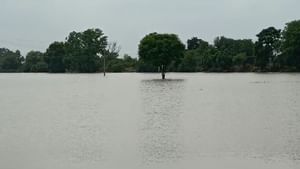 Punjab flood ਸੁਨਾਮ ਦੇ ਮਹਿਲਾਂ, ਮਰਦਖੇੜਾ ਅਤੇ ਅਕਾਲਗੜ੍ਹ ਪਿੰਡਾਂ ਦੀ ਕਰੀਬ 250 ਏਕੜ ਫ਼ਸਲ ‘ਚ ਭਰਿਆ ਪਾਣੀ