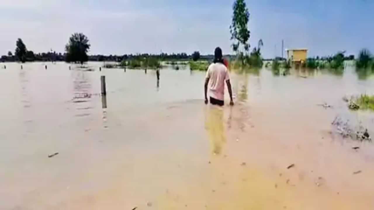 Punjab Flood: ਸਤਲੁਜ ਦਰਿਆ 6900 ਕਿਊਕਿਸ ਪਾਣੀ ਦਾ ਪੱਧਰ ਵਧਿਆ, ਸੰਕਟ ਵਿੱਚ ਫਿਰੋਜ਼ਪੁਰ-ਫਾਜਿਲਕਾ ਦੇ ਕਈ ਪਿੰਡ, ਗੁਰਦਾਸਪੁਰ ਚ ਵੀ ਰਾਵੀ ਦਰਿਆ ਹੋਇਆ ਓਵਰਫਲੋ