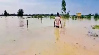 Punjab Flood: ਸਤਲੁਜ ਦਰਿਆ 6900 ਕਿਊਕਿਸ ਪਾਣੀ ਦਾ ਪੱਧਰ ਵਧਿਆ, ਸੰਕਟ ਵਿੱਚ ਫਿਰੋਜ਼ਪੁਰ-ਫਾਜਿਲਕਾ ਦੇ ਕਈ ਪਿੰਡ, ਗੁਰਦਾਸਪੁਰ ‘ਚ ਵੀ ਰਾਵੀ ਦਰਿਆ ਹੋਇਆ ਓਵਰਫਲੋ Punjab Flood: ਸਤਲੁਜ ਦਰਿਆ 6900 ਕਿਊਕਿਸ ਪਾਣੀ ਦਾ ਪੱਧਰ ਵਧਿਆ, ਸੰਕਟ ਵਿੱਚ ਫਿਰੋਜ਼ਪੁਰ-ਫਾਜਿਲਕਾ ਦੇ ਕਈ ਪਿੰਡ, ਗੁਰਦਾਸਪੁਰ ‘ਚ ਵੀ ਰਾਵੀ ਦਰਿਆ ਹੋਇਆ ਓਵਰਫਲੋ
