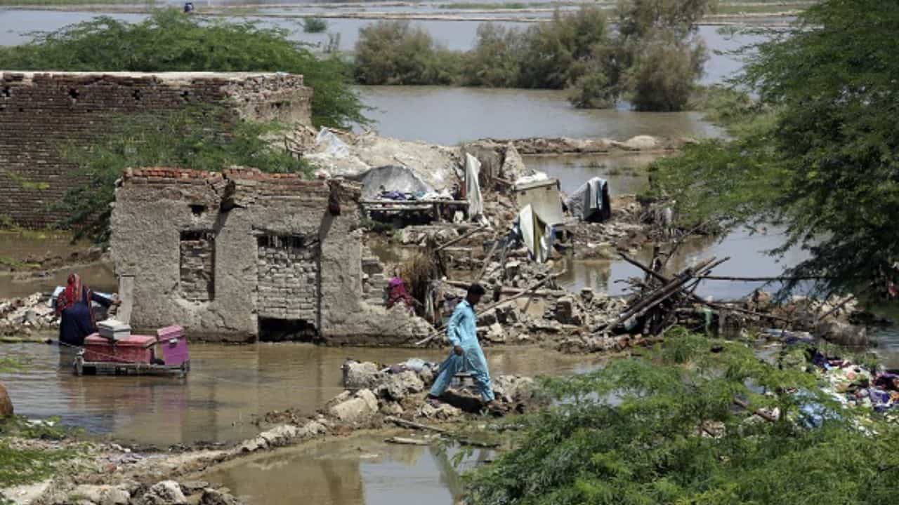 ਘੱਗਰ ਦਰਿਆ ਦੇ ਕਾਰਨ ਤਿੰਨ ਜ਼ਿਲਿਆਂ ਦੀ ਹਾਲਤ ਚਿੰਤਾਜਨਕ, ਪਠਾਨਕੋਟ ਦਾ ਚੱਕੀ ਪੁੱਲ ਬਣ ਸਕਦਾ ਮੁਸੀਬਤ, ਮੌਸਮ ਵਿਭਾਗ ਵੱਲੋਂ ਚਾਰ ਦਿਨਾਂ ਦਾ ਅਲਰਟ