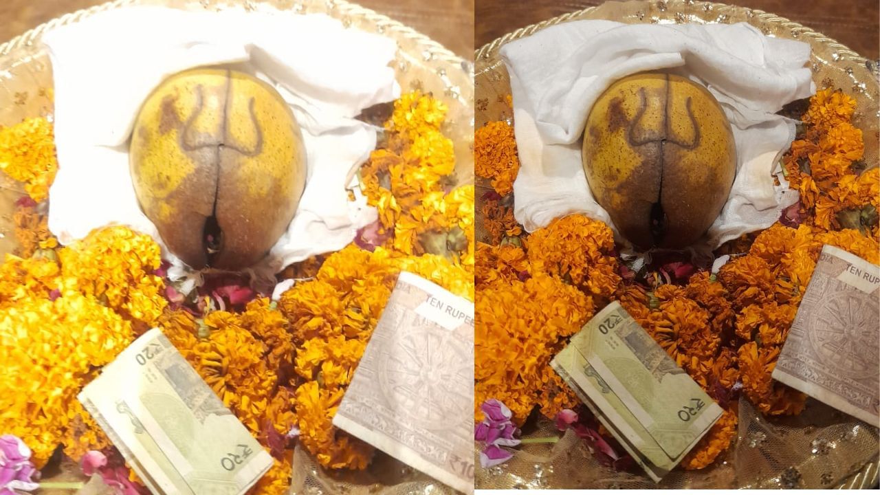 ਫਰੀਦਕੋਟ ‘ਚ ਬੇਲਪੱਤਰ ਦੇ ਫਲ ‘ਤੇ ਪ੍ਰਕਟਿਆ ਤ੍ਰਿਸ਼ੂਲ, ਲੋਕਾਂ ਨੇ ਸ਼ਰਧਾ ਨਾਲ ਕੀਤਾ ਨਮਨ ਫਰੀਦਕੋਟ ‘ਚ ਬੇਲਪੱਤਰ ਦੇ ਫਲ ‘ਤੇ ਪ੍ਰਕਟਿਆ ਤ੍ਰਿਸ਼ੂਲ, ਲੋਕਾਂ ਨੇ ਸ਼ਰਧਾ ਨਾਲ ਕੀਤਾ ਨਮਨ