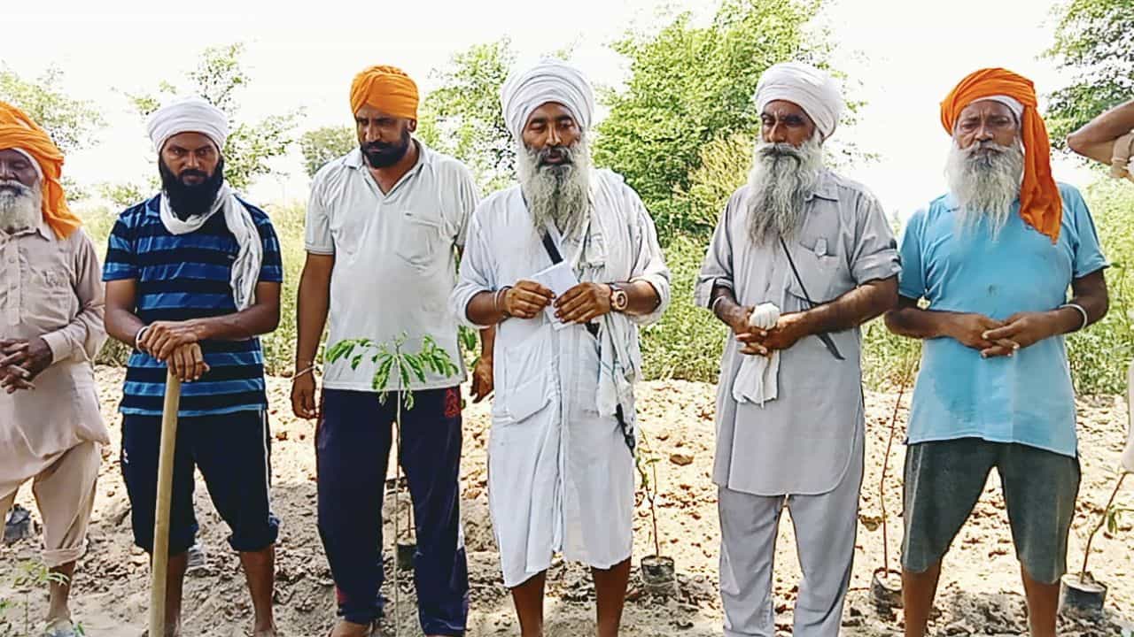 ਕਾਰਸੇਵਾ ਖਡੂਰ ਸਾਹਿਬ ਵਾਲੇ ਮਹਾਪੁਰਸ਼ਾਂ ਵੱਲੋਂ ਫਾਜਿਲਕਾ ਚ 263ਵਾਂ ਗੁਰੂ ਨਾਨਕ ਯਾਦਗਾਰੀ ਜੰਗਲ ਲਗਾਇਆ, 50 ਤਰ੍ਹਾਂ ਦੇ 605 ਬੂਟੇ ਲਗਾਏ