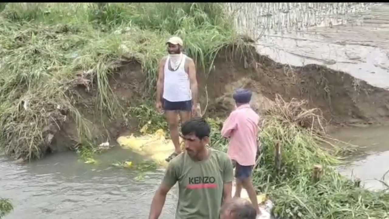 Canal overflow: ਦੀਨਾਨਗਰ ਅਧੀਨ ਆਉਂਦੀ ਮਜੀਠੀ ਨਹਿਰ ਚ ਪਈ ਪਾੜ, 500 ਏਕੜ ਫਸਲ ਪਾਣੀ ਚ ਡੁੱਬੀ, ਚਿੰਤਾ ਚ ਕਿਸਾਨ