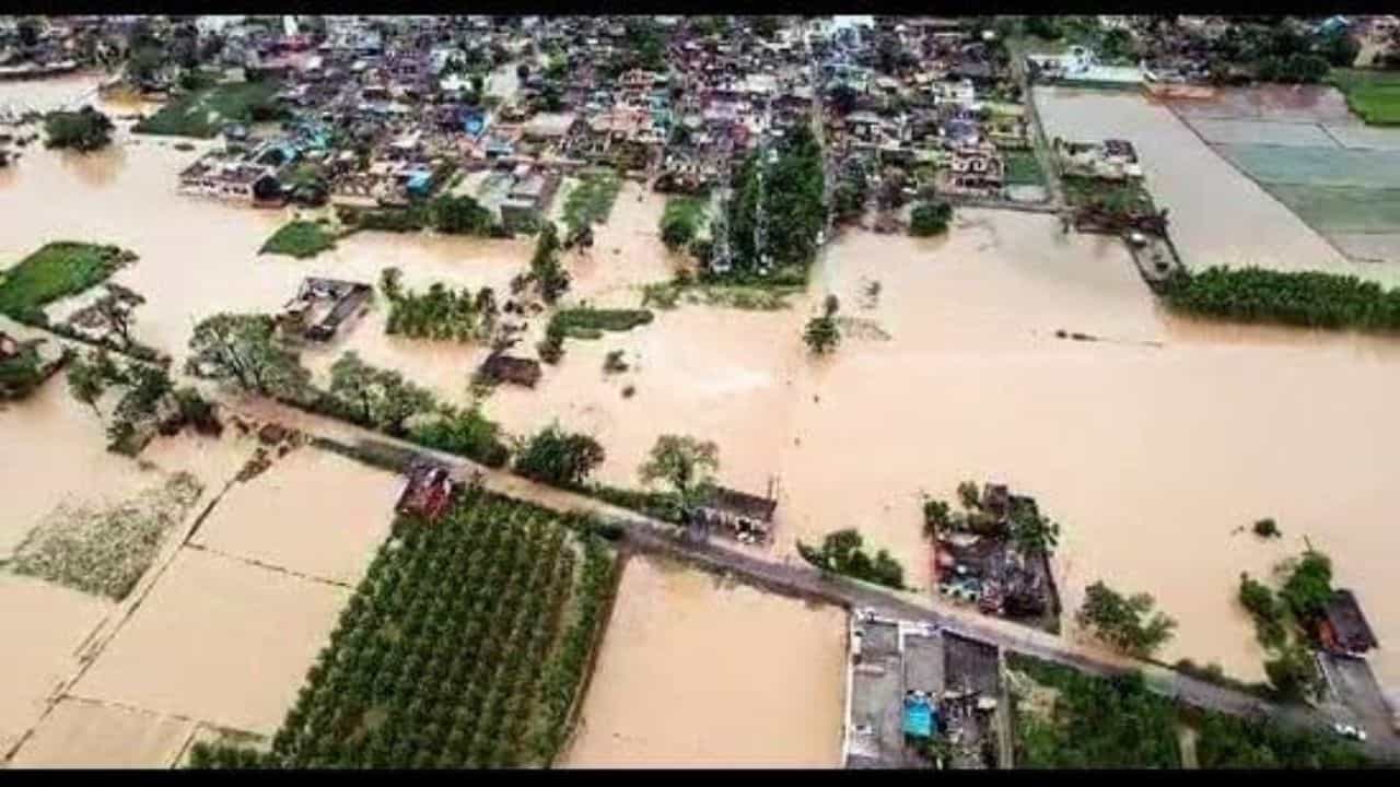 Punjab Flood: ਝੋਨੇ ਦੀ ਪਨੀਰੀ ਲਈ ਖੇਤੀਬਾੜੀ ਵਿਭਾਗ ਨੇ ਬਣਾਇਆ ਕੰਟਰੋਲ ਰੂਮ, ਇਸ ਨੰਬਰ ਤੇ ਸੰਪਰਕ ਕਰ ਸਕਦੇ ਨੇ ਕਿਸਾਨ