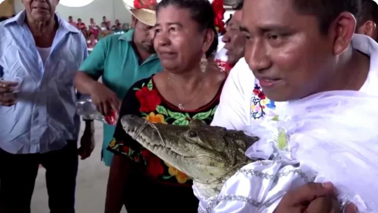 OMG News: ਆਦਮੀ ਨੇ ਮਗਰਮੱਛ ਨੂੰ ਬਣਾਇਆ ਲਾੜੀ, ਪੂਰੀਆਂ ਰਸਮਾਂ ਨਾਲ ਕੀਤਾ ਵਿਆਹ, ਕੀ ਸੀ ਵਜ੍ਹਾ- ਵੇਖੋ ਇਹ ਵੀਡੀਓ OMG News: ਆਦਮੀ ਨੇ ਮਗਰਮੱਛ ਨੂੰ ਬਣਾਇਆ ਲਾੜੀ, ਪੂਰੀਆਂ ਰਸਮਾਂ ਨਾਲ ਕੀਤਾ ਵਿਆਹ, ਕੀ ਸੀ ਵਜ੍ਹਾ- ਵੇਖੋ ਇਹ ਵੀਡੀਓ